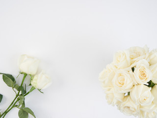 Wall Mural - White roses isolated on white background