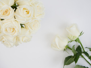 Wall Mural - White roses isolated on white background