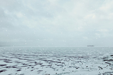 The shore of the Gulf of Finland and frozen water in winter in cloudy weather.