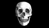 Fototapeta Tęcza - The human skull is porous and cracks throughout the area. With beautiful teeth lined up, strong And showing a smile On a black background Symbol of life and death