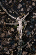 Metallic crucifix on tree roots on the ground