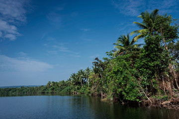 Wall Mural - tatai river jungle nature landscape in remote cardamom mountains cambodia