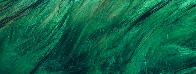 Aufkleber - Close up Aqua Menthe Beautiful Fur background texture.