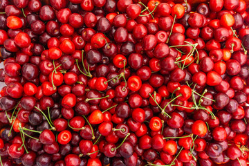 Sticker - Pile of ripe cherries with stalks and leaves. Large collection of fresh red cherries. Ripe cherries background.