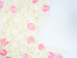 Wall Mural - Flower frame made of rose petals