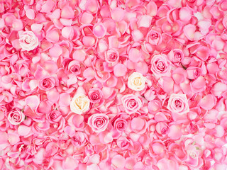 Wall Mural - Frame made of pink rose petals