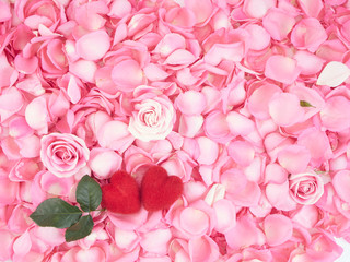 Wall Mural - Frame made of pink rose petals