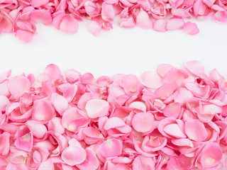 Poster - Frame made of pink rose petals