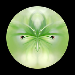 the little ladybugs in the drops, on the green planet.