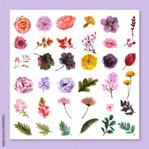 set of flowers
