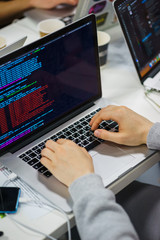 developer of program code. process of writing code in a special application.