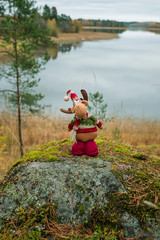 Cheerful moose in clothes and hat, toy  over the lake in autumn