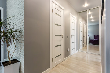  door in modern entrance hall of corridor in expensive apartments