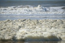 Sea Foam On The Beach In Large Quantity - Wide Angle - In Den Haag  , Holland