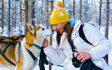 Sticker - Woman with Husky family dog sled in winter Rovaniemi of Finland of Lapland. Person and Dogsled ride in Norway. Animal Sledding on Finnish farm, Christmas. Sleigh. Safari on sledge and Alaska landscape