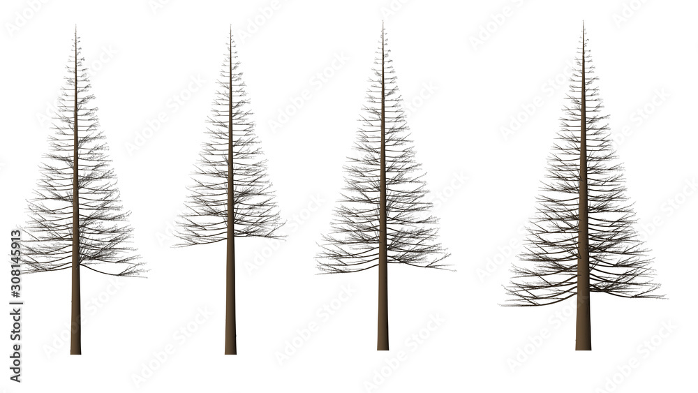 Trees forest set isolated on white background in winter season. High ...