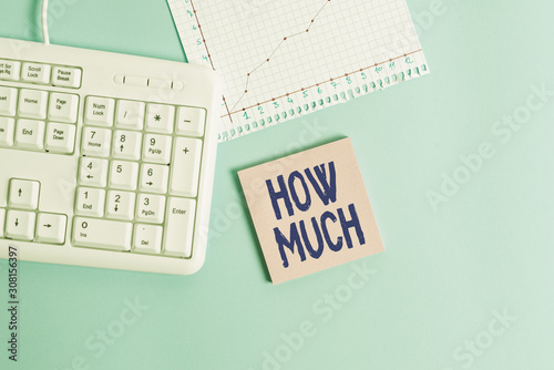 Fotomural Conceptual hand writing showing How Much
