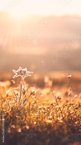 Beautiful sunrise in mountains