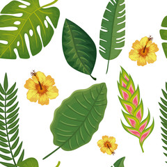 Wall Mural - background of flower heliconia with leafs tropicals vector illustration design