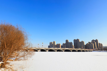 Wall Mural - Urban bridges in snow