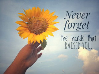 Inspirational motivational quote - Never forget the hands that raised you. With background of blue sky and beautiful sunflower blossom in hand. Photo concept with nature.