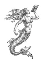 Hand Drawn Illustration In The Engraving Style, Sea Mermaid With A Shell.