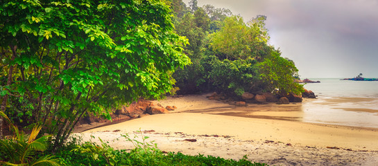 Wall Mural - Penang national park, Malaysia. Panorama