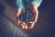 © oatawa - Close up woman hands holding Christmas tree, Christmas decorative ornament concept