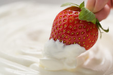 Closeup Hand Dips Strawberry In White Cream Or Yogurt