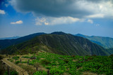 Fototapeta Sawanna - 蛭ヶ岳、丹沢山、塔ノ岳 41