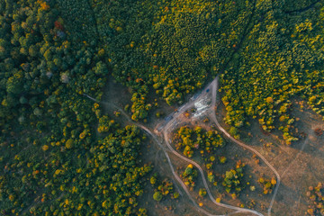 Drone images of illegal logging in the woods. 