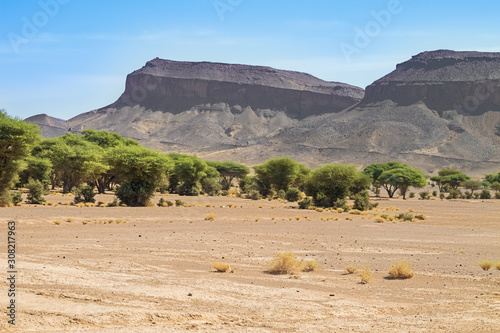 Fotografía Desert dominated by cuestas near Tazzarine on road 12 between Zagora and Erfoud