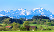 typische Frühlings-Szenerie nahe des Bodensees mit den schneebedeckten Bergen des Alpstein-Massivs im Hintergrund