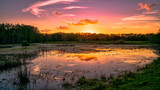 Fototapeta Zwierzęta - Louisiana swamp sunset and silhouettes
