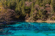 © Peter Stein - Stuuning view of beautiful pond in Jiuzhaigou national park on a sunny autumn day