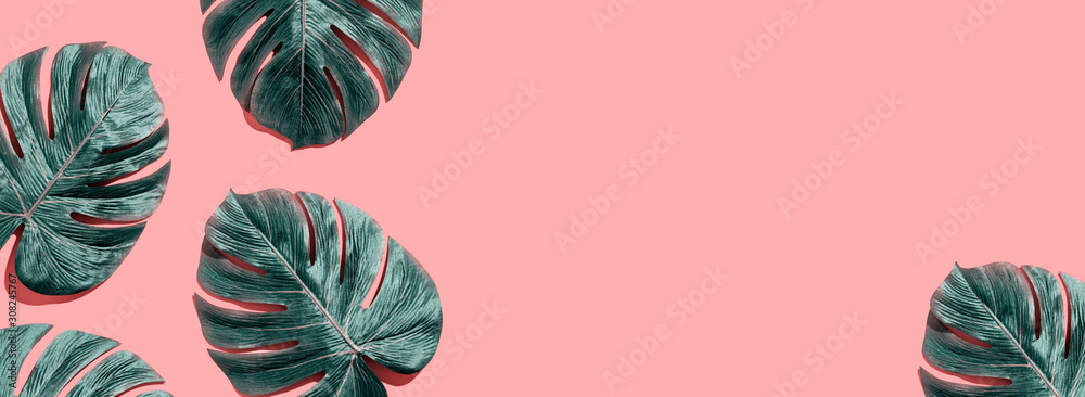 Tropical plant Monstera leaves overhead view flat lay - obrazy, fototapety, plakaty 