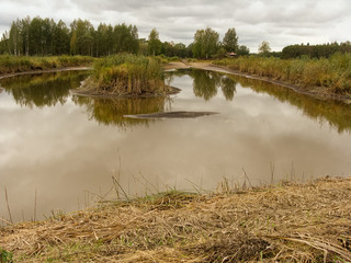 Wall Mural - landscape with land and a pond without water, grass and reeds on shore