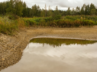 Wall Mural - landscape with land and a pond without water, grass and reeds on shore