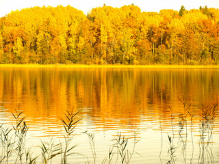 Wall Mural - landscape with lake and colorful trees on shore, autumn