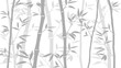 © Crisp - Bamboo forest for background EPS 10