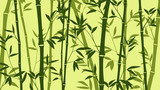 Fototapeta Dziecięca - Bamboo forest for background EPS 10