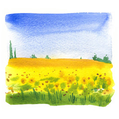 watercolor illustration with landscape of sunflower field. nature background. organic farms. eco gro