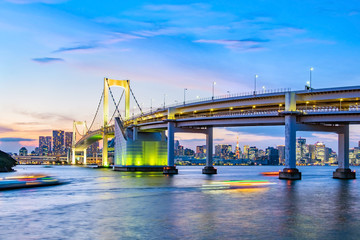 Wall Mural - Panorama view of Tokyo skyline  in the evening. Tokyo city, Japan.