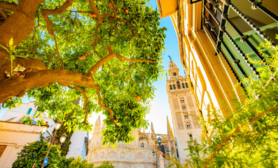 Fototapete - Seville city in summer, sunny Spain