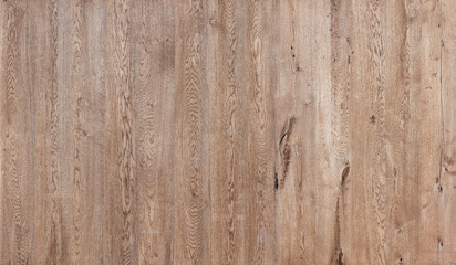 Wall Mural - High-resolution oak texture for CG