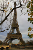 Fototapeta Boho - A snapshot of the Eiffel Tower with tree foliage in the foreground