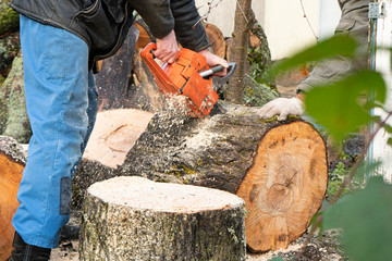 a man in blue trousers saws wood with a chainsaw5