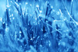 Fresh green grass with dew drops closeup. Nature Background Monochrome, blue, color,