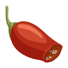 Wall Mural - Spicy pepper vector icon.Cartoon vector icon isolated on white background spicy pepper .