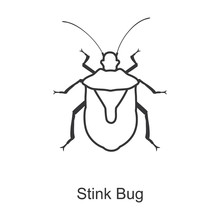 Stink Bug Vector Icon.Line Vector Icon Isolated On White Background Stink Bug.